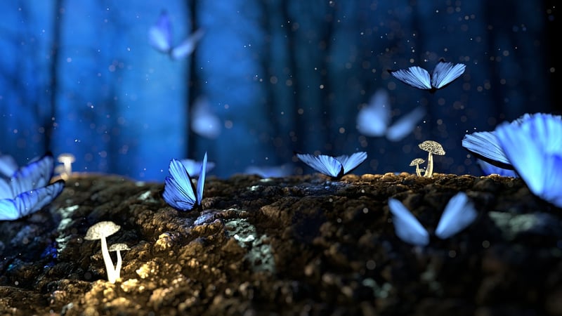 Fairy Flutterby