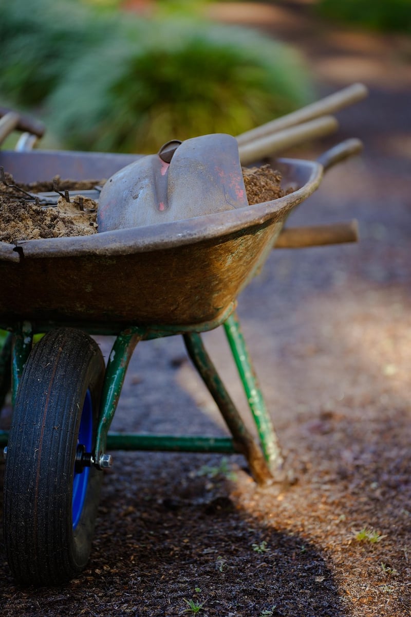 Wizard's Potting Soil